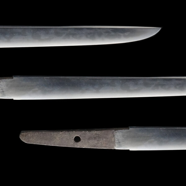 Antique Japanese Sword Tanto Attributed to Soshu Tsunahiro<br> NBTHK <span style="color: #ff0000;">Hozon </span>Certificate and Tokubetsu Kicho Kodogu with the Urushi box - Image 3