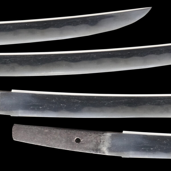 Antique Japanese Sword Wakizashi Signed by Tomotsugu<br>NBTHK <span style="color: #ff0000;"><strong> Tokubetsu Hozon</strong> </span>Certificate - Image 3