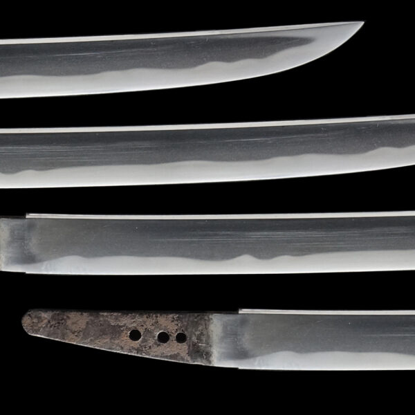 Antique Japanese Sword Wakizashi Signed by Harima no Kami Kanetaka <br>NBTHK <span style="color: #ff0000;"><strong> Tokubetsu Hozon</strong> </span>Certificate - Image 3