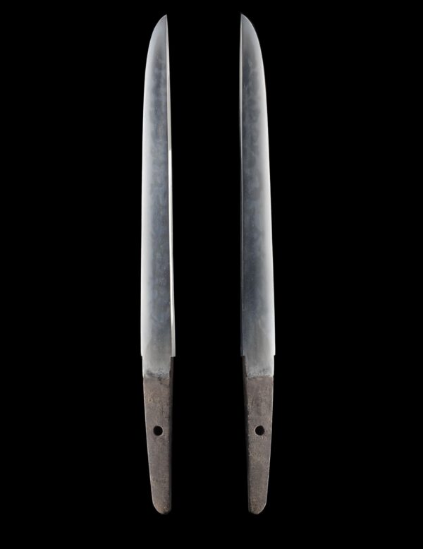 Antique Japanese Sword Tanto Attributed to Soshu Tsunahiro<br> NBTHK <span style="color: #ff0000;">Hozon </span>Certificate and Tokubetsu Kicho Kodogu with the Urushi box - Image 6