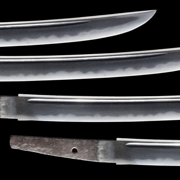 Antique Japanese Sword Wakizashi Signed by Kanetsune <br>NBTHK <span style="color: #ff0000;"><strong> Tokubetsu Hozon</strong> </span>Certificate - Image 3