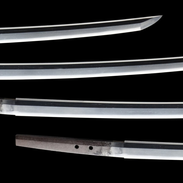 Antique Japanese Sword Katana attributed to Taira Takada <br>NBTHK <span style="color: #ff0000;">Hozon </span>Certificate - Image 3