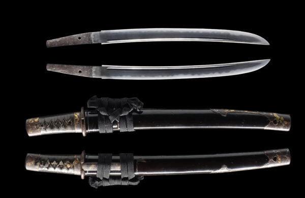 Antique Japanese Sword Wakizashi Signed by Kanetsune <br>NBTHK <span style="color: #ff0000;"><strong> Tokubetsu Hozon</strong> </span>Certificate - Image 12