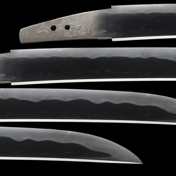Modern Authentic Japanese Sword Wakizashi Signed by Enshu Jyu Mitsuhiro - Image 2