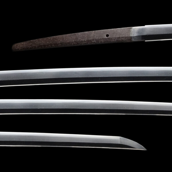 Antique Japanese Sword Katana Signed by Zushu Naotsugu <br>NBTHK <span style="color: #ff0000;">Hozon </span>Certificate - Image 2