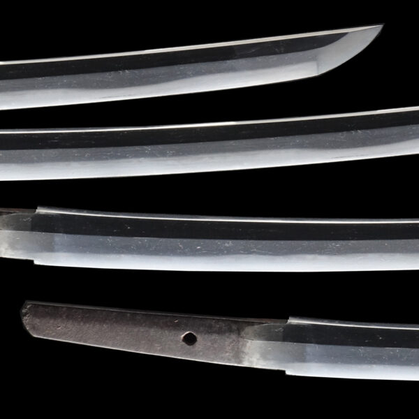 Antique Japanese Sword Wakizashi Signed by Nobuyoshi <br> NBTHK Kicho for the blade and Tokubetsu Kicho Tosogu for Koshirae - Image 3