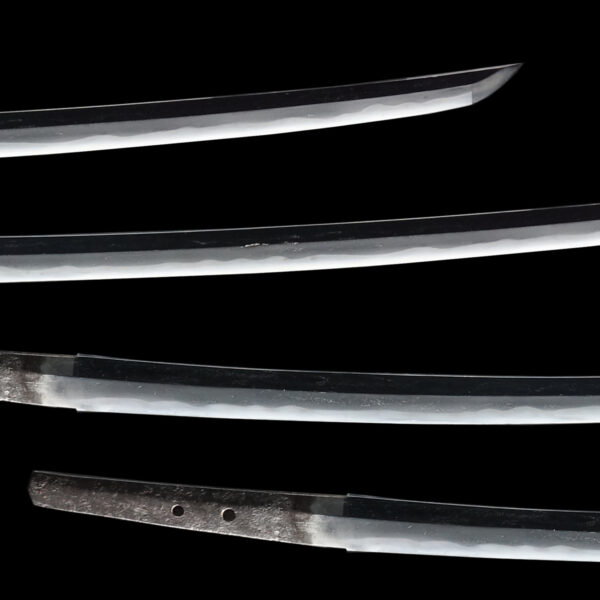 Antique Japanese Sword Daisho Signed by Senjuin/Attributed to Mihara NBTHK<span style="color: #ff0000;"><span style="color: #ff0000;"> Hozon</span> Certificate - Image 3