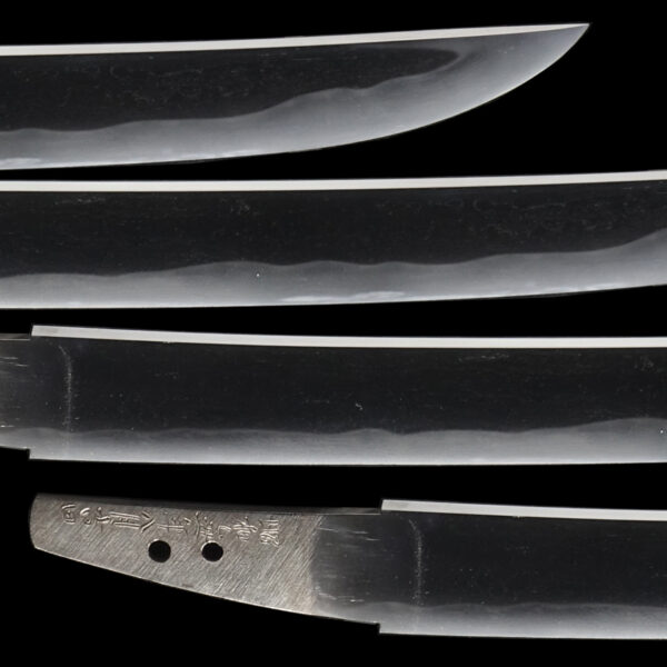 Modern Authentic Japanese Sword Wakizashi Signed by Enshu Jyu Mitsuhiro - Image 3