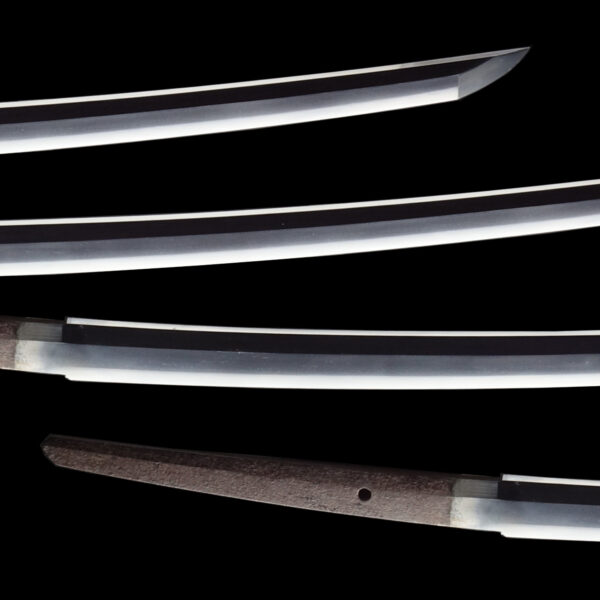 Antique Japanese Sword Katana attributed to Tadayoshi<br> NTHK Kanteisho - Image 3