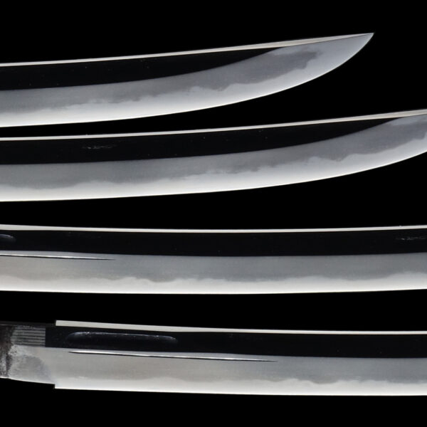 Antique Japanese Sword Wakizashi attributed to Hoki no Kami Nobutaka<br> NBTHK <span style="color: #ff0000;">Hozon</span> Certificate - Image 3