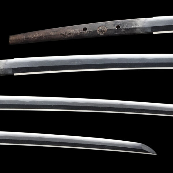 Antique Japanese Sword Katana Signed by Edo Echizen Yasutsugu<br> NTHK Kanteisho for the blade with the antique sword stand - Image 2