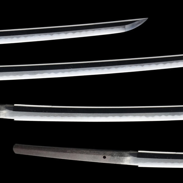 Antique Japanese Sword Katana Signed by Mito Ju Tokukatsu <br>NBTHK <span style="color: #ff0000;">Hozon </span>Certificate - Image 3