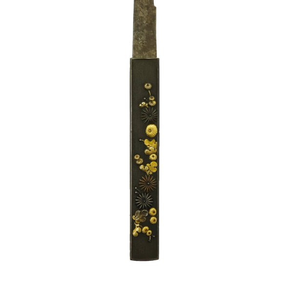 Antique Japanese Sword Tanto Signed by Nanki Shigekuni<br> NBTHK Tokubetsu Kicho Certificate - Image 20