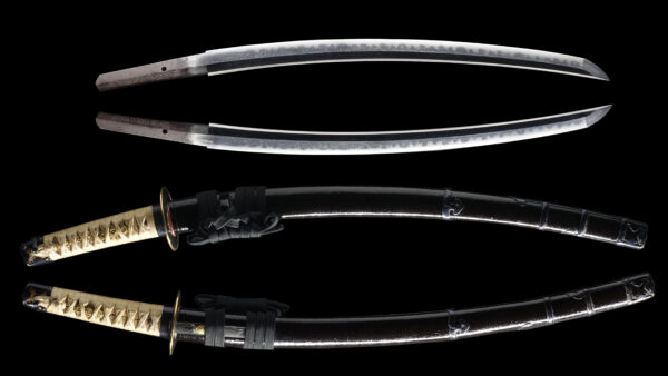 Antique Japanese Sword Wakizashi Signed by Sukesada <br>NBTHK <span style="color: #ff0000;"><strong> Tokubetsu Hozon</strong> </span>Certificate - Image 11