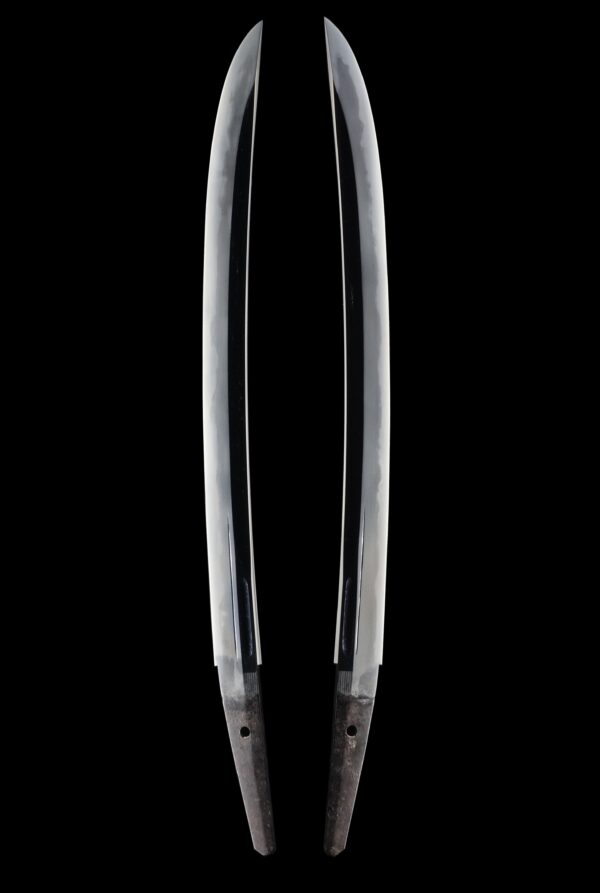 Antique Japanese Sword Wakizashi attributed to Hoki no Kami Nobutaka<br> NBTHK <span style="color: #ff0000;">Hozon</span> Certificate - Image 6