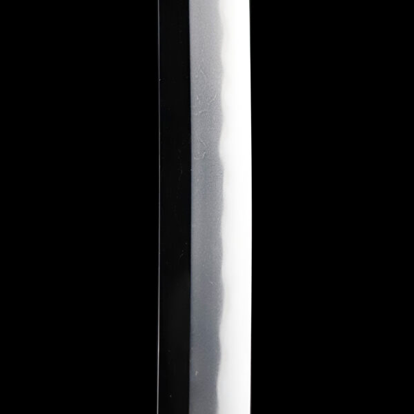 Antique Japanese Sword Katana attributed to Jyumyo<br> NBTHK <span style="color: #ff0000;">Hozon </span>Certificate - Image 10