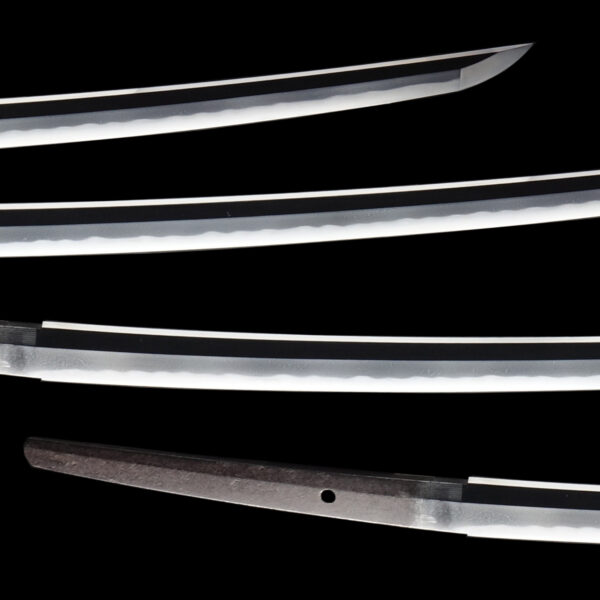 Antique Japanese Sword Katana attributed to Jyumyo<br> NBTHK <span style="color: #ff0000;">Hozon </span>Certificate - Image 3