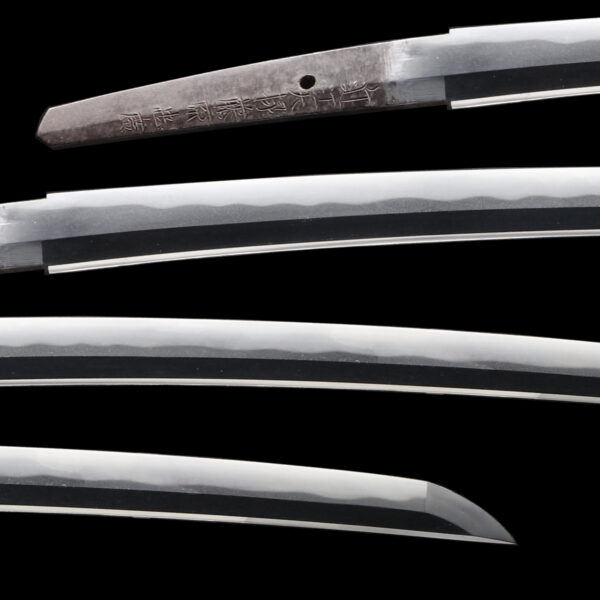 Antique Japanese Sword Wakizashi Signed by Omi Daijo Fujiwara Tadahiro<br> NBTHK <span style="color: #ff0000;"><strong> Tokubetsu Hozon</strong> </span>Certificate - Image 2