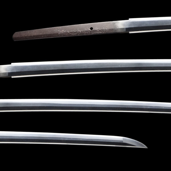 Antique Japanese Sword Katana Signed by Doshu Hidehiro<br> NBTHK<span style="color: #ff0000;"><strong> Tokubetsu Hozon</strong> </span>Certificate - Image 2