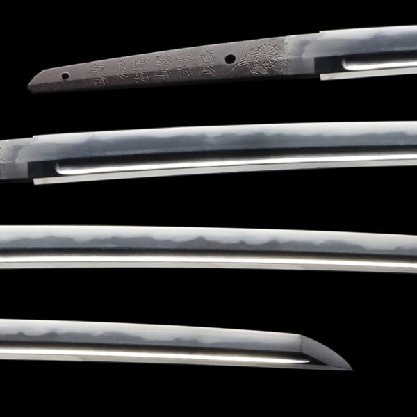 Antique Japanese Sword Katana Signed by Omi no Kami Minamoto Hisamichi<br> NBTHK<span style="color: #ff0000;"><strong> Tokubetsu Hozon</strong> </span>Certificate - Image 2