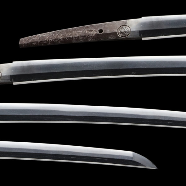 Antique Japanese Sword Wakizashi Signed by the late-gen Echizen Yasutsugu <br>NBTHK <span style="color: #ff0000;"><strong> Tokubetsu Hozon</strong> </span>Certificate - Image 2