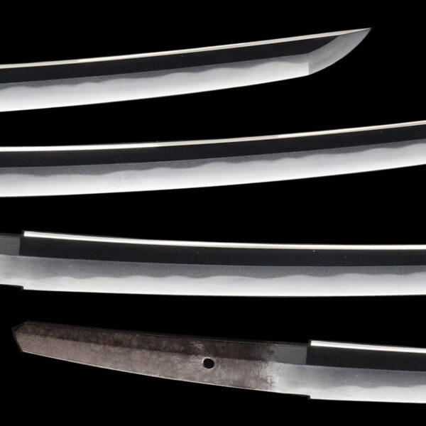 Antique Japanese Sword Wakizashi Signed by Omi Daijo Fujiwara Tadahiro<br> NBTHK <span style="color: #ff0000;"><strong> Tokubetsu Hozon</strong> </span>Certificate - Image 3