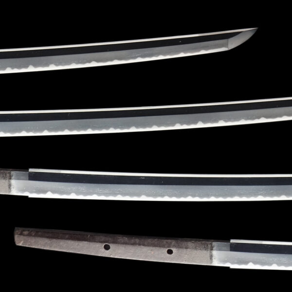 Antique Japanese Sword Katana Signed by Yamato no Kami Minamoto Hironobu<br> NBTHK <span style="color: #ff0000;">Hozon </span>Certificate - Image 3