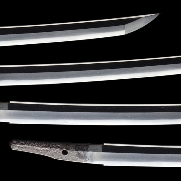 Antique Japanese Sword Wakizashi Signed by Echigo Kanenori <br>NBTHK <span style="color: #ff0000;"><strong> Tokubetsu Hozon</strong> </span>Certificate - Image 3