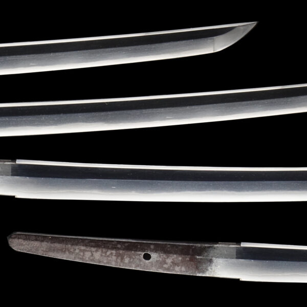 Antique Japanese Sword Wakizashi Signed by Tsuguhira <br>NBTHK <span style="color: #ff0000;"><strong> Tokubetsu Hozon</strong> </span>Certificate - Image 3