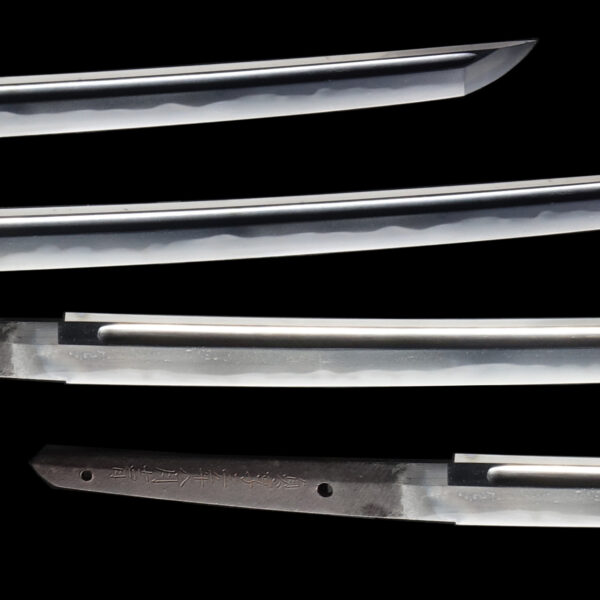 Antique Japanese Sword Katana Signed by Omi no Kami Minamoto Hisamichi<br> NBTHK<span style="color: #ff0000;"><strong> Tokubetsu Hozon</strong> </span>Certificate - Image 3