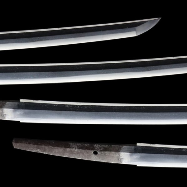 Antique Japanese Sword Wakizashi Signed by the late-gen Echizen Yasutsugu <br>NBTHK <span style="color: #ff0000;"><strong> Tokubetsu Hozon</strong> </span>Certificate - Image 3