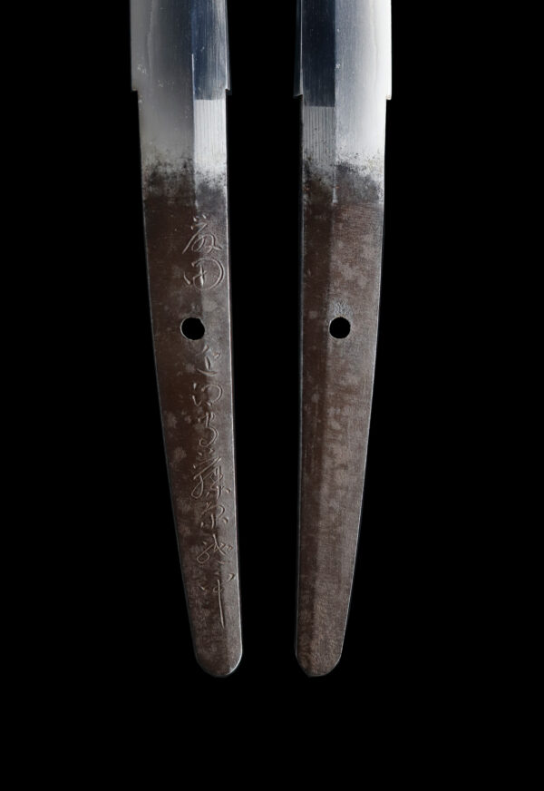 Antique Japanese Sword Wakizashi Signed by Tsuguhira <br>NBTHK <span style="color: #ff0000;"><strong> Tokubetsu Hozon</strong> </span>Certificate - Image 8