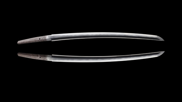 Antique Japanese Sword Wakizashi Signed by Omi Daijo Fujiwara Tadahiro<br> NBTHK <span style="color: #ff0000;"><strong> Tokubetsu Hozon</strong> </span>Certificate - Image 11