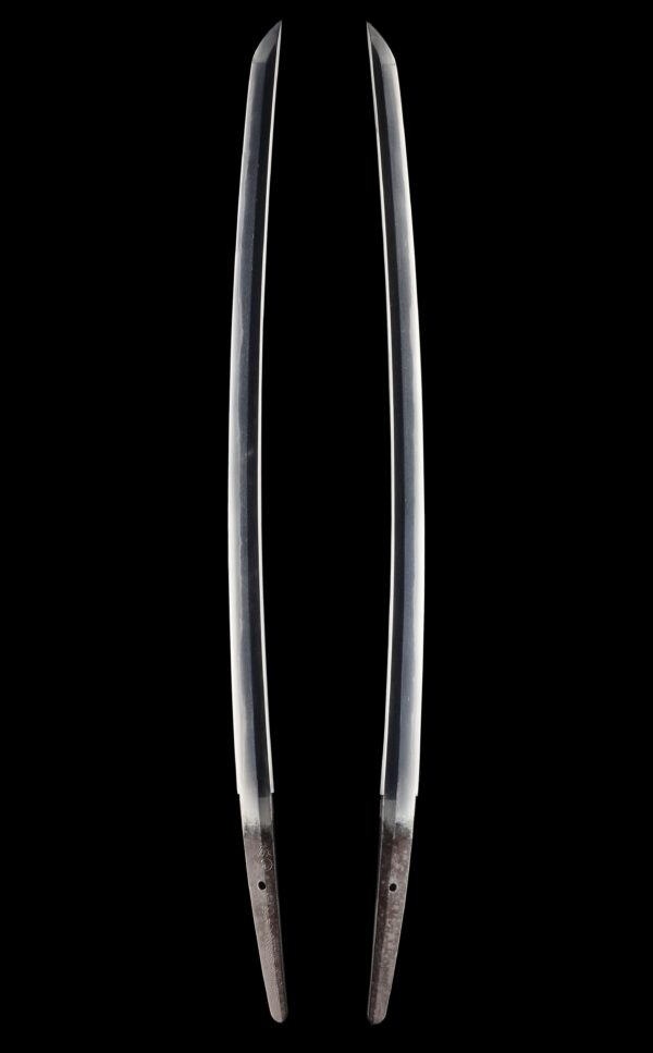 Antique Japanese Sword Wakizashi Signed by Tsuguhira <br>NBTHK <span style="color: #ff0000;"><strong> Tokubetsu Hozon</strong> </span>Certificate - Image 6