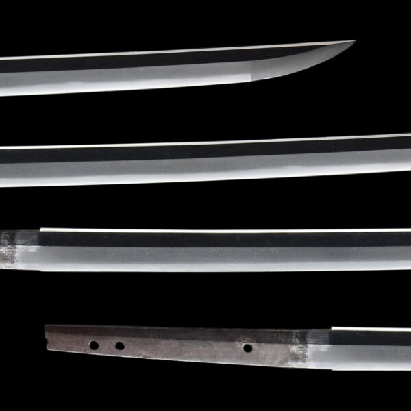 Antique Japanese Sword Katana attributed to Nakajima Rai<br> NBTHK<span style="color: #ff0000;"><strong> Tokubetsu Hozon</strong> </span>Certificate - Image 3