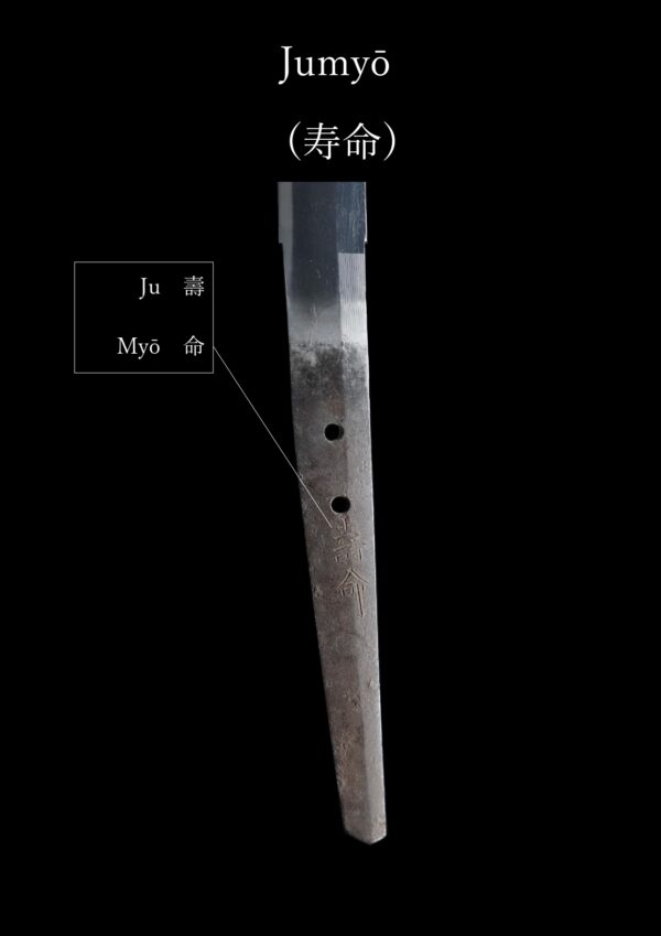 Antique Japanese Sword Katana Signed by Jyumyo<br> NBTHK <span style="color: #ff0000;">Hozon </span>Certificate - Image 21