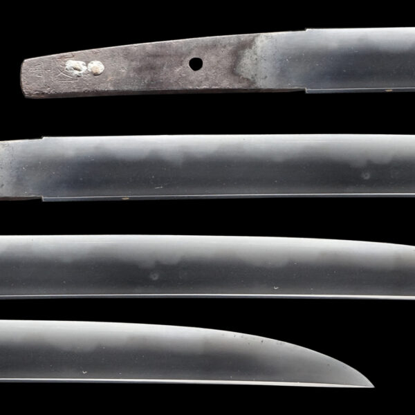 Antique Japanese Sword Wakizashi Signed by Kunishige <br>NBTHK <span style="color: #ff0000;">Hozon </span>Certificate - Image 2