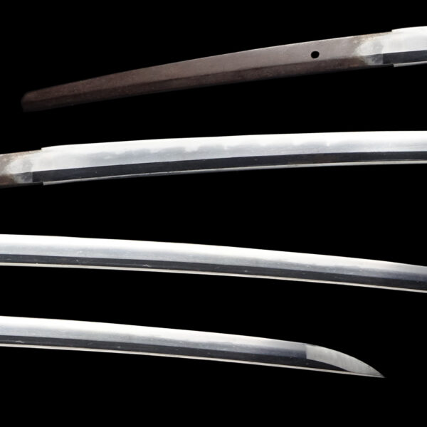 Antique Japanese Sword Katana attributed to Kaifu <br>NBTHK <span style="color: #ff0000;">Hozon </span>Certificate - Image 2