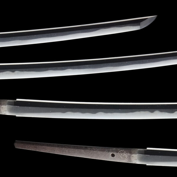 Antique Japanese Sword Katana Signed by Tachibana Yasuhiro<br> NBTHK<span style="color: #ff0000;"><strong> Tokubetsu Hozon</strong> </span>Certificate - Image 3
