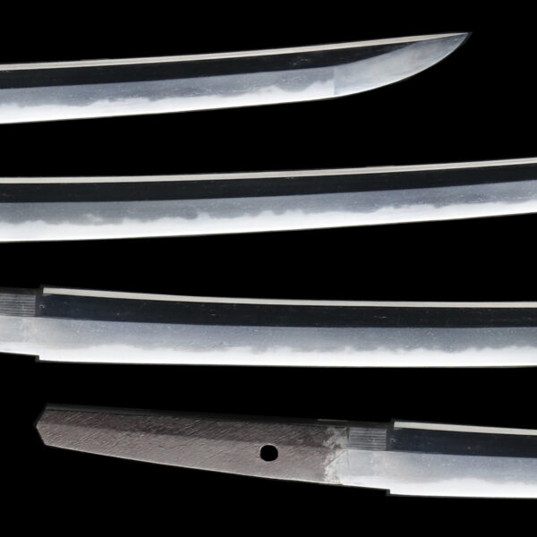Antique Japanese Sword Wakizashi attributed to Takada Munehisa<br>NTHK Kanteisho - Image 3