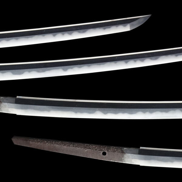 Antique Japanese Sword Katana Signed by Musashi Daijo Tadahiro <br>NBTHK <span style="color: #ff0000;"><strong>Tokubetsu Hozon</strong> </span>Certificate - Image 3