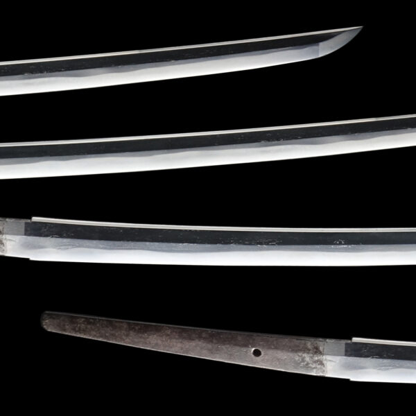 Antique Japanese Sword Katana attributed to Takada Munekage <br> NTHK Kanteisho - Image 3