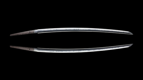 Antique Japanese Sword Katana Signed by Musashi Daijo Tadahiro <br>NBTHK <span style="color: #ff0000;"><strong>Tokubetsu Hozon</strong> </span>Certificate - Image 10