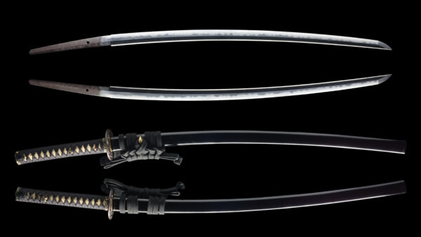 Antique Japanese Sword Katana Signed by Musashi Daijo Tadahiro <br>NBTHK <span style="color: #ff0000;"><strong>Tokubetsu Hozon</strong> </span>Certificate - Image 11