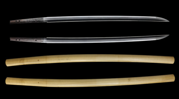 Antique Japanese Sword Katana attributed to Nakajima Rai<br> NBTHK<span style="color: #ff0000;"><strong> Tokubetsu Hozon</strong> </span>Certificate - Image 13