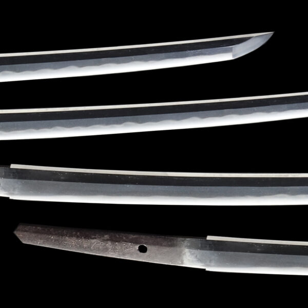 Antique Japanese Sword Katana Signed by Uda Kunimune<br> NBTHK<span style="color: #ff0000;"><strong> Tokubetsu Hozon</strong> </span>Certificate - Image 3