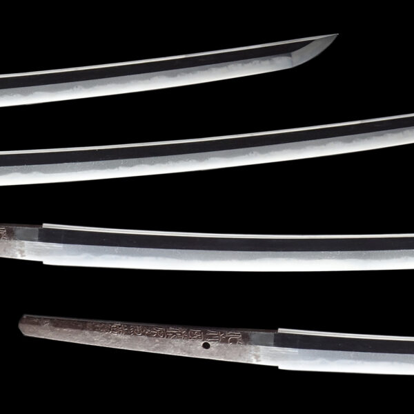 Antique Japanese Sword Katana Signed by Fujiwara Kanehiro <br> NBTHK<span style="color: #ff0000;"><strong> Tokubetsu Hozon</strong> </span>Certificate - Image 3