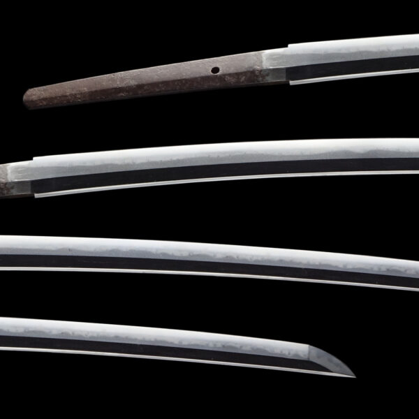 Antique Japanese Sword Katana Signed by Fujiwara Kanehiro <br> NBTHK<span style="color: #ff0000;"><strong> Tokubetsu Hozon</strong> </span>Certificate - Image 2