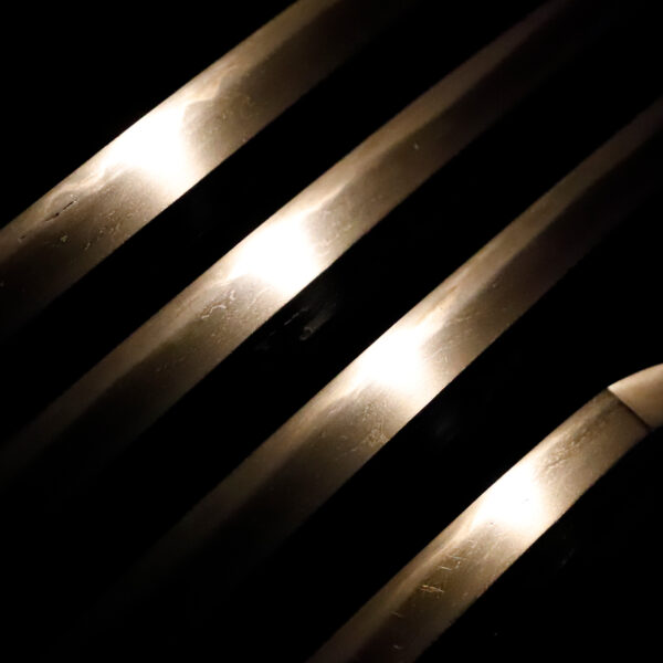 Antique Japanese Sword Katana attributed to Mino Senjuin <br>NBTHK <span style="color: #ff0000;">Hozon </span>Certificate - Image 4