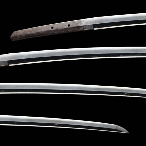 Antique Japanese Sword Katana attributed to Mino Senjuin <br>NBTHK <span style="color: #ff0000;">Hozon </span>Certificate - Image 2